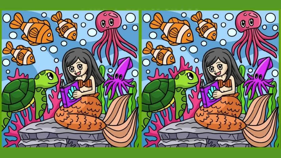 Puzzle / Fresherslive Puzzle / Fresherslive