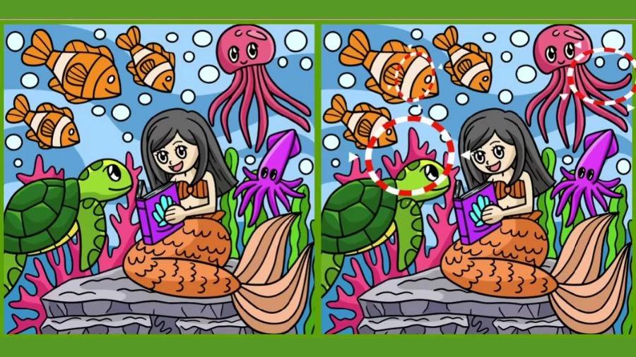 Řešení / Fresherslive Řešení / Fresherslive