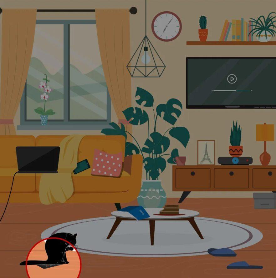 Nápověda / foto: Jagranjosh