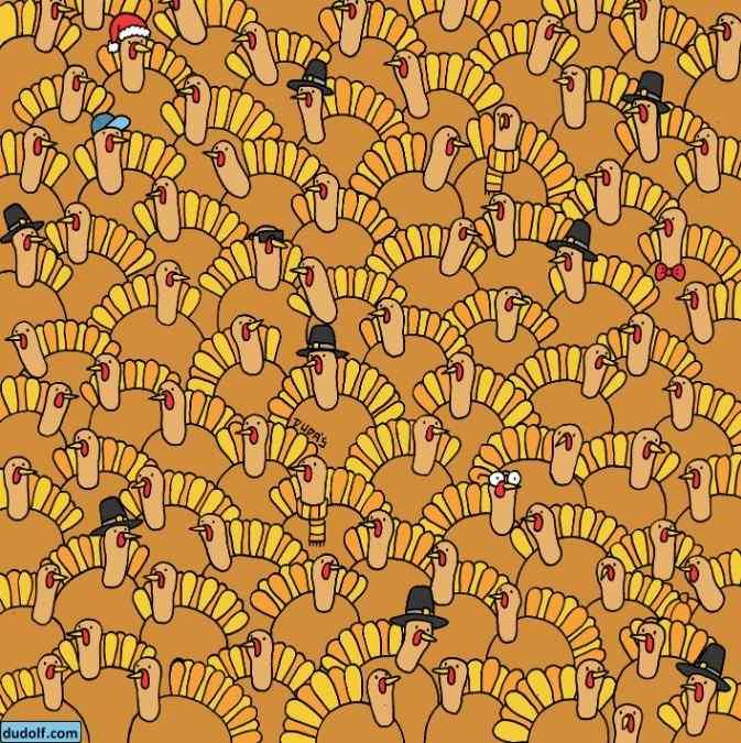 Hádanka: Najděte dýni mezi krocany