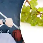 Co jste viděli jako první: optický klam ukazuje, jak jste