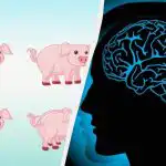 Geniální testovací hádanka: najděte všechna selátka za 15 sekund Geniální testovací hádanka: najděte všechna selátka za 15 sekund