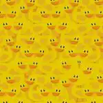 Hádanka pro ty, kteří mají výborný zrak: najděte kuře mezi kachnami za 7 sekund. Hádanka pro ty, kteří mají výborný zrak: najděte kuře mezi