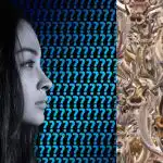 Hádanka: za 9 sekund musíte najít koně mezi soby.