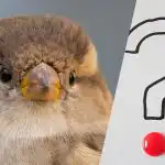 Hledání ztraceného vrabce mezi kormorány za 9 sekund: úžasná logická