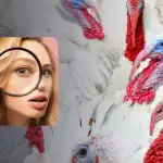 "Královská" hádanka: mezi bílými krocany musíte najít plameňáka. "Královská" hádanka: mezi bílými krocany musíte najít plameňáka.