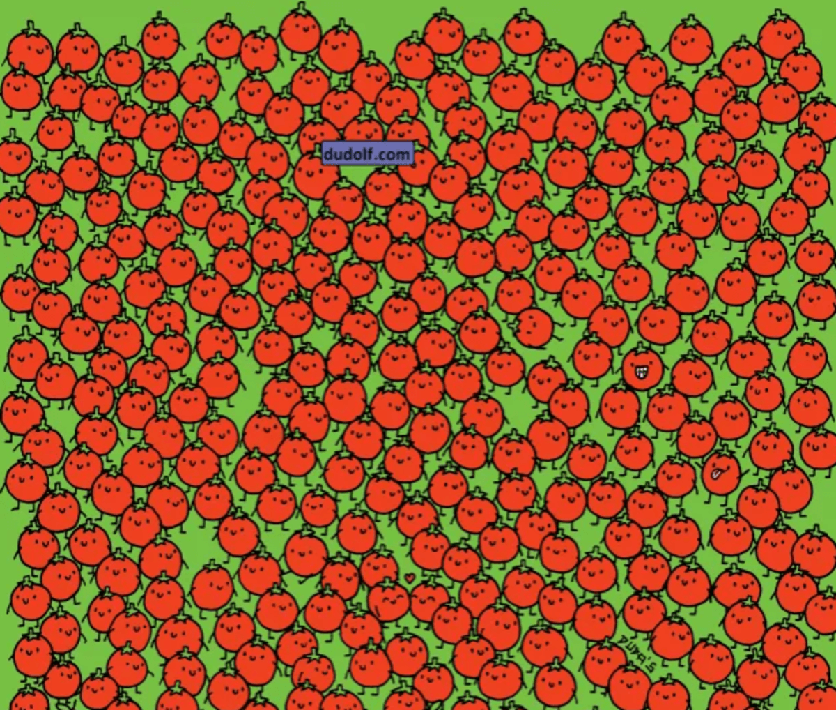 Snažte se co nejrychleji najít jablka / foto thedudolf.blogspot.com Pokuste se najít jablka co nejrychleji / foto thedudolf.blogspot.com