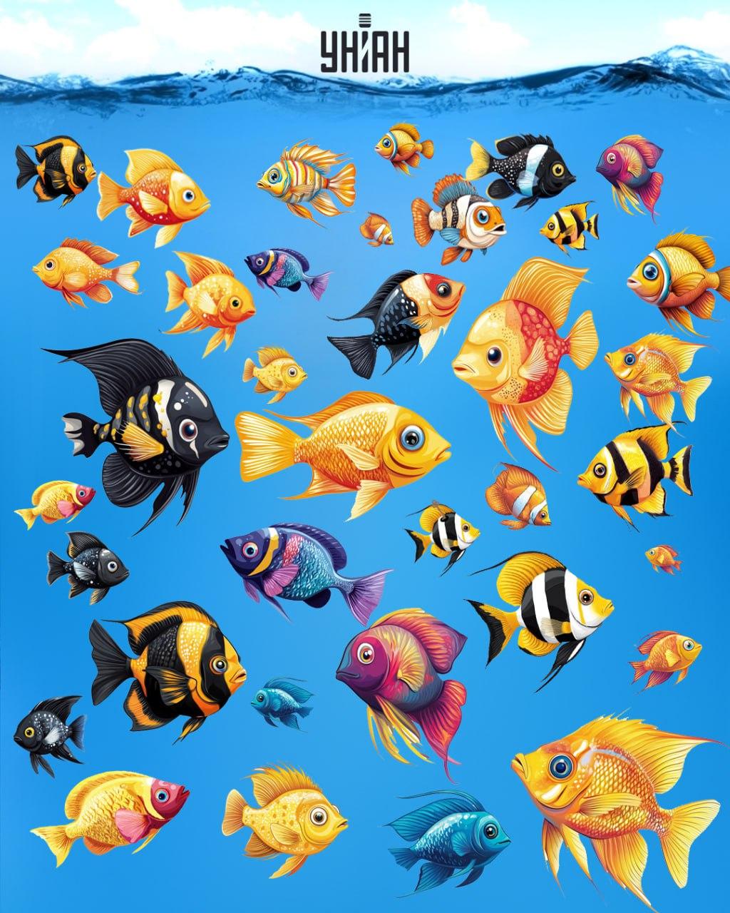 Koláž Moje Koláž Moje