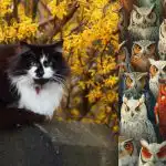 Najděte mazanou kočku mezi sovami za 6 sekund: fantastická logická