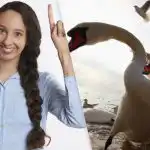 Najděte za 9 sekund mezi racky a labutěmi mazanou straku: