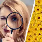 Pouze 1 z 10 lidí najde jelena na obrázku za 7 sekund: velmi složitý optický klam Pouze 1 z 10 lidí najde jelena na obrázku za