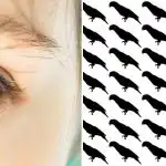 Pouze 5 % lidí najde papouška v této optické iluzi