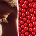 Super těžká hádanka: musíte najít kalamář v červených korálcích za