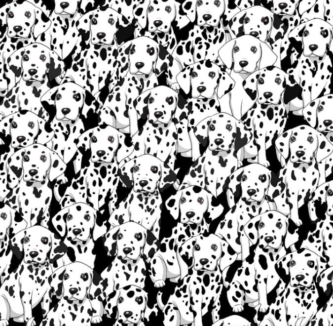 Najdi psa, který nemá žádné skvrny mezi těmito dalmatiny - logická hra