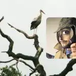 Všichni vidí čápy a jen "titán" najde holuba: složitá hádanka