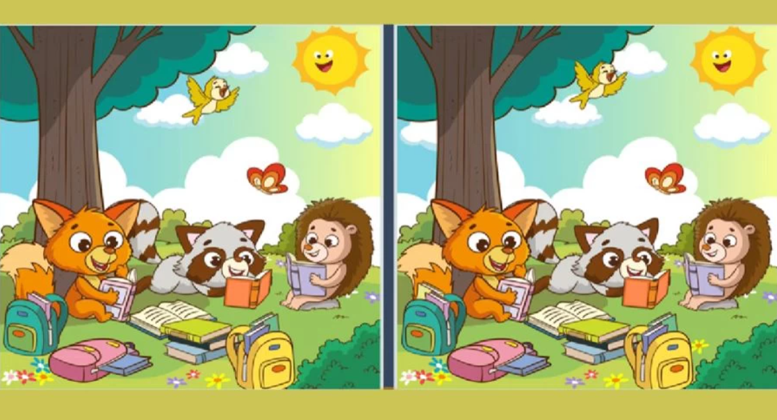 Zajímavá hádanka pro bystrozraké: otestujte se za 22 sekund.